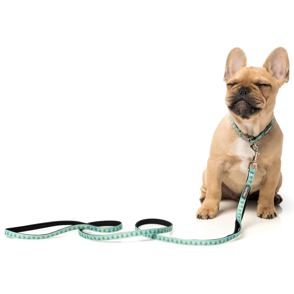 15% OFF: FuzzYard Dog Leash (Tucson)