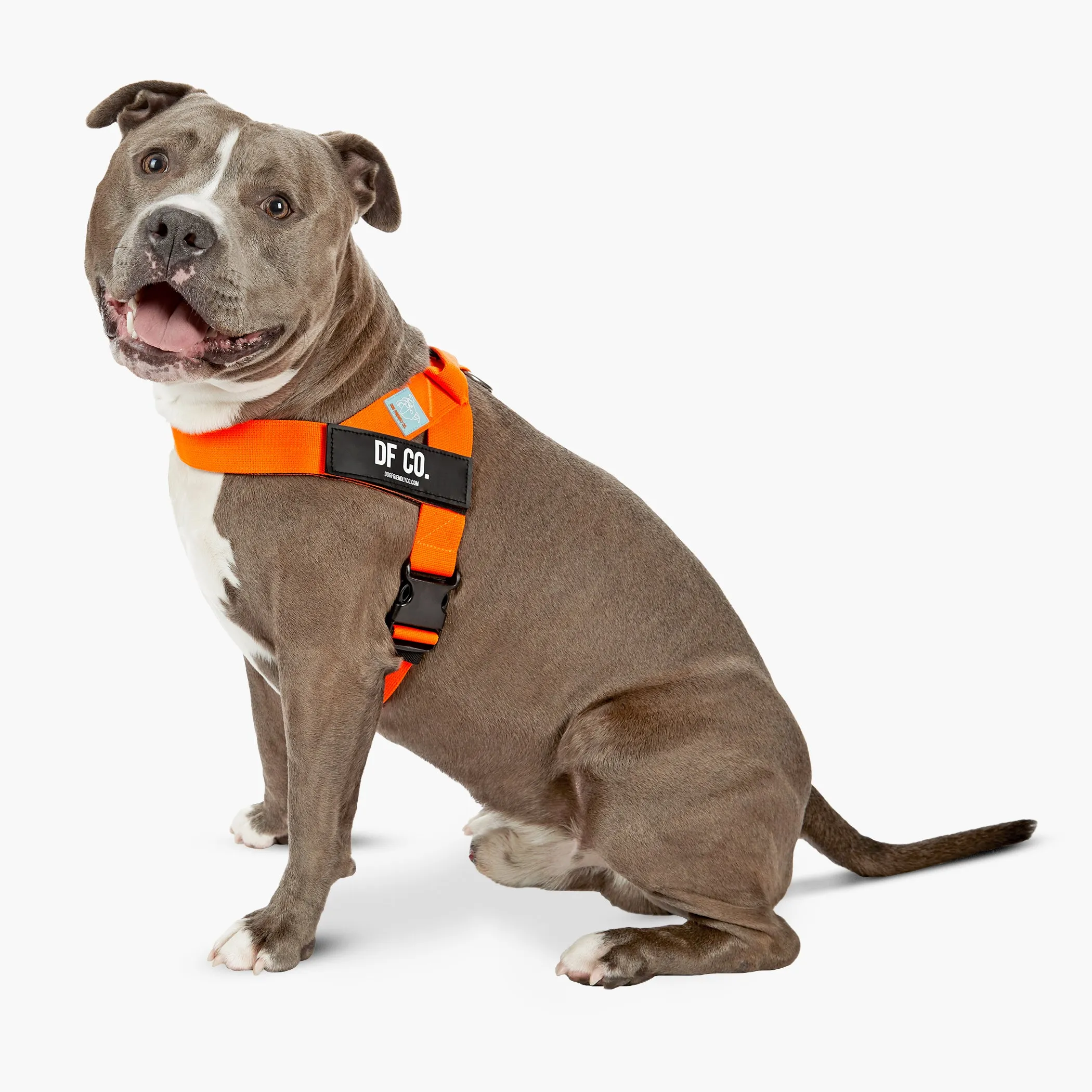 Dog Friendly Co. Dog Harness Hi-Vis Orange