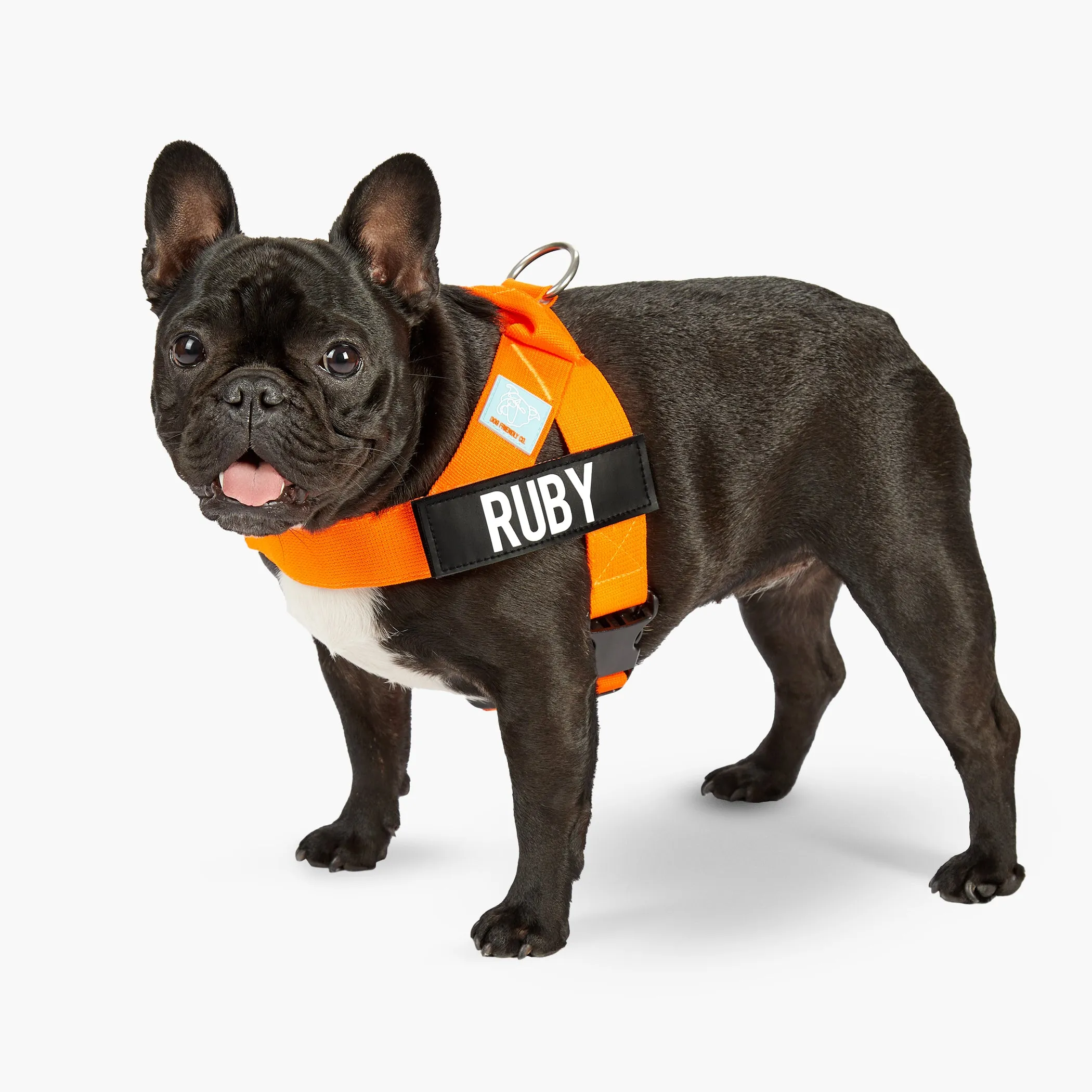 Dog Friendly Co. Dog Harness Hi-Vis Orange