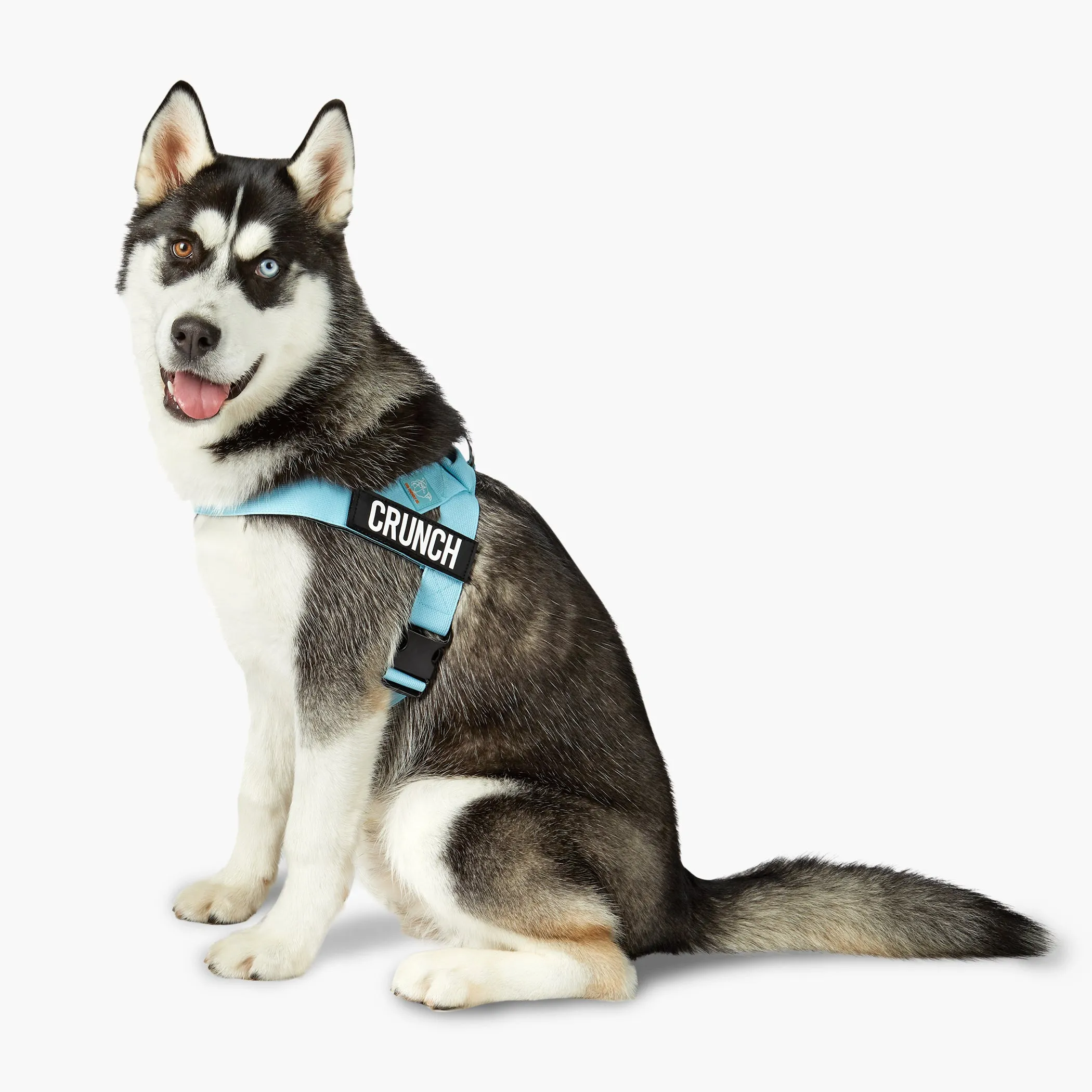 Dog Friendly Co. Dog Harness Sky Blue