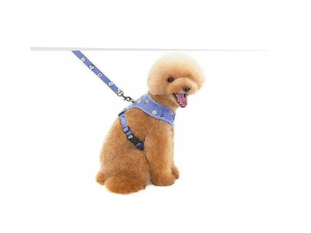 dog harness Blue S KLN20069