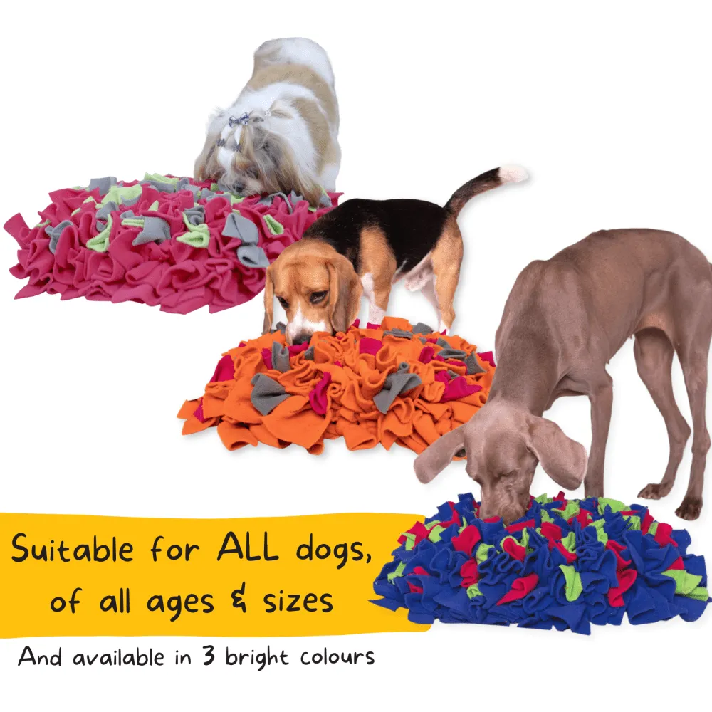 For The Love Of Dog Sun Kissed Sniffer Mat for Dogs