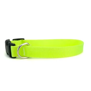 Skatrs Adjustable Collar with Bell for Cats & Kittens (Lime Green)