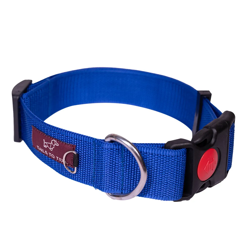 Tails to Tell Polyester Collar for Dogs (Blue)