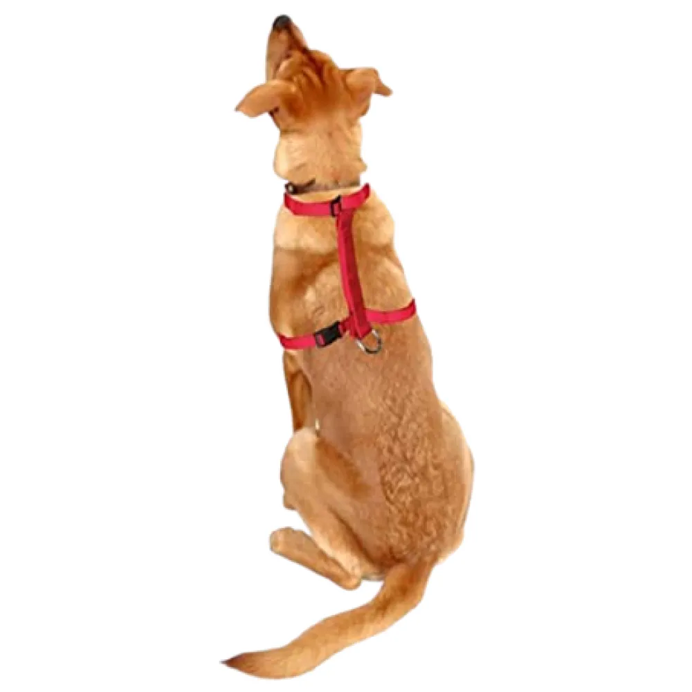 Trixie Classic H Harness, Lead Leash and Collar for Dogs Combo (Red) - M