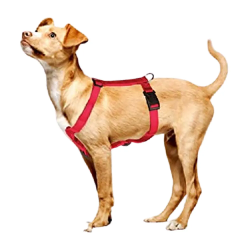 Trixie Classic H Harness, Lead Leash and Collar for Dogs Combo (Red) - M